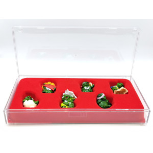 SPECIAL KIT: Tartallegre (2012) in vendita