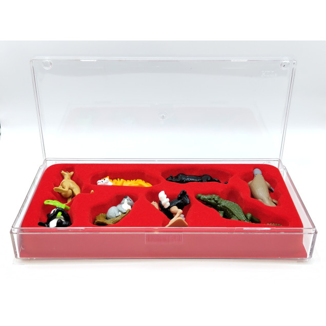 SPECIAL KIT: Animali dal mondo in vendita